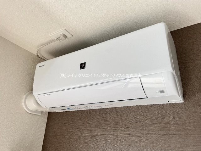 レジーナ・彩  その他4