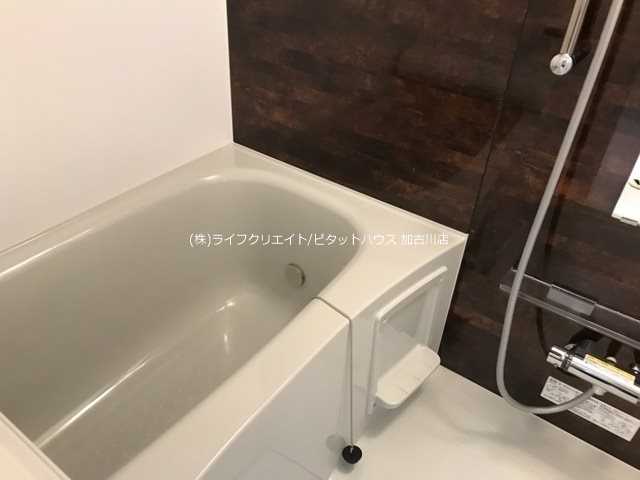 パインフォレスト浜の宮 風呂画像