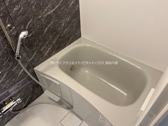 トレジャー東加古川 風呂画像