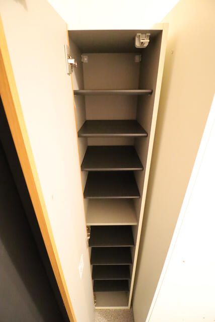 カルム元住吉 収納