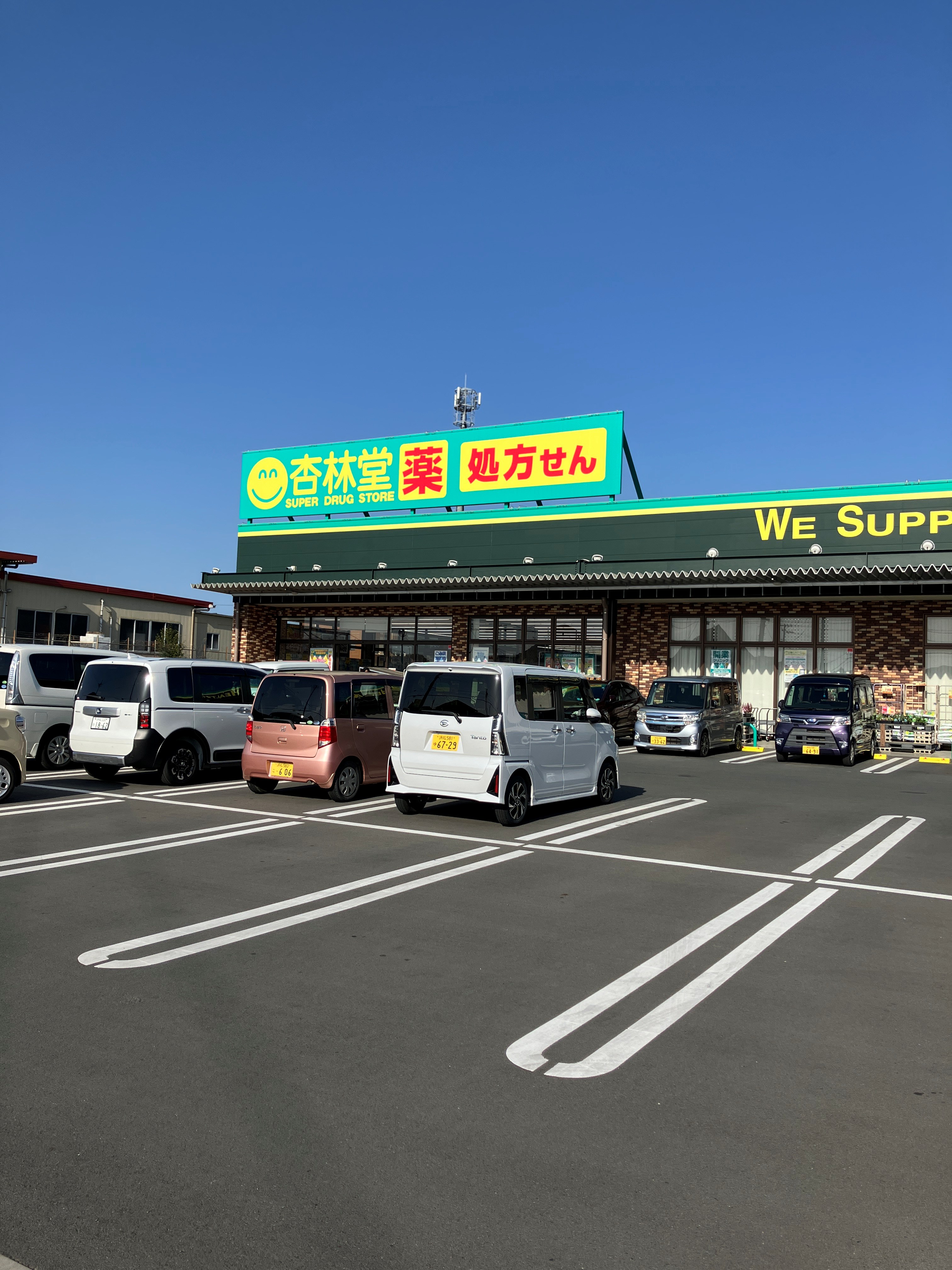 フォレスト岩井 ドラッグストア