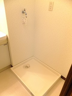 アルデーアピーノ その他