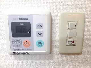 アルデーアピーノ その他