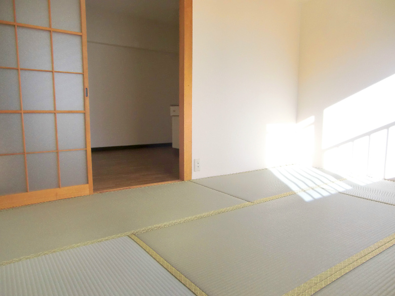 メゾン横須賀Ⅱ その他