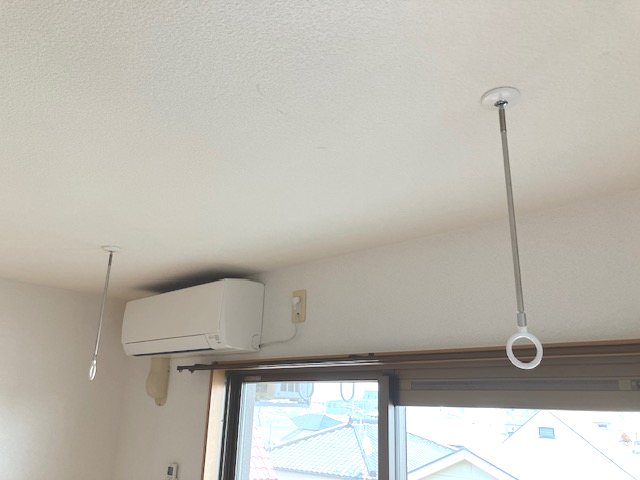 アークブラン その他