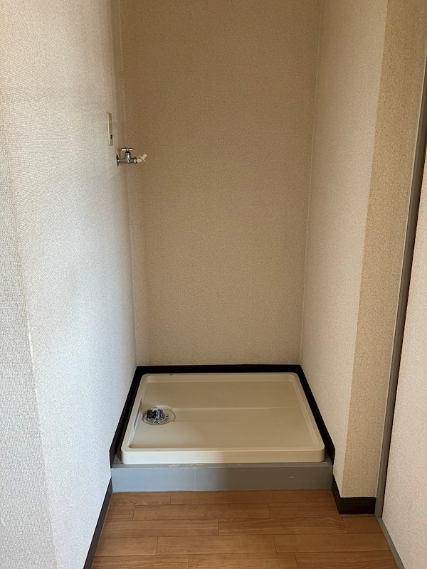 カトレアⅡ その他