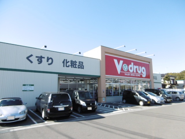 ホームタウン岩田 ドラッグストア