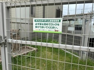 ネフェルティティ その他