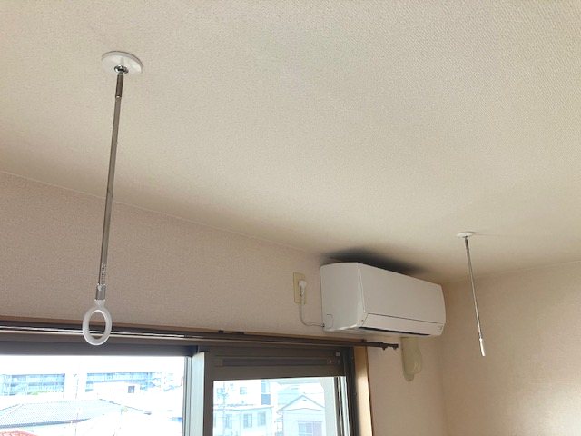 アークブラン その他