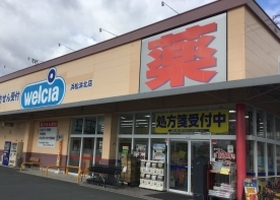 サリーナ浜北 ドラッグストア