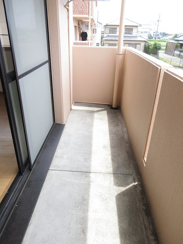 アイリスⅡ その他