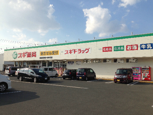ＡＬＳＡＣＥ ドラッグストア