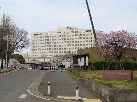クレアージュ亥鼻 大学・短大