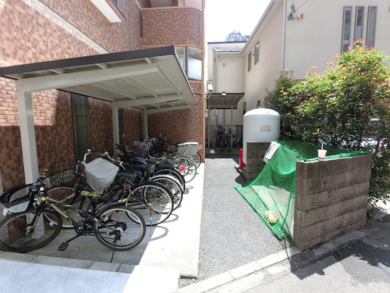 セレッソ その他