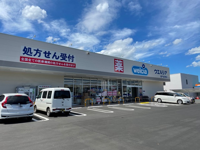 ルックス・ベリターティス その他