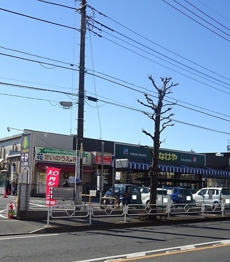 ポラリス その他