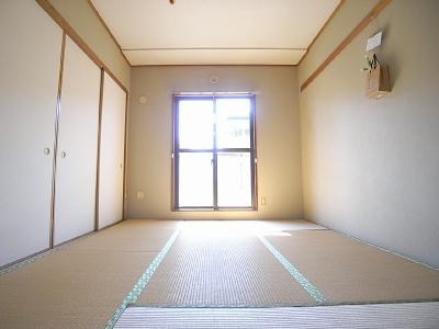 ルミエールコマチ その他