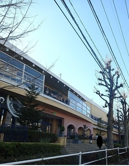ヒルズ山王林 その他