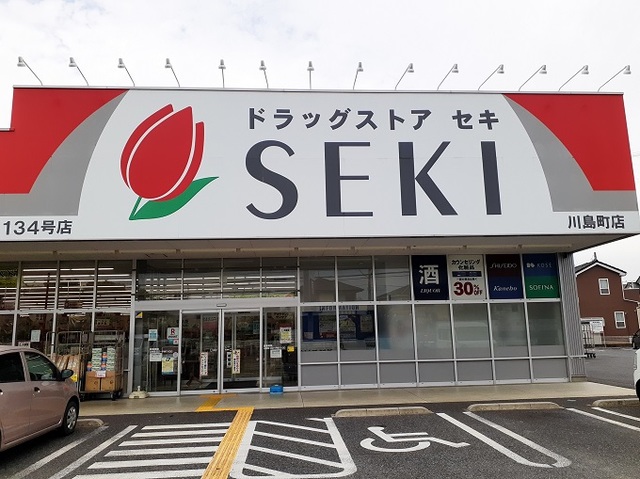 フェリオカーサ その他