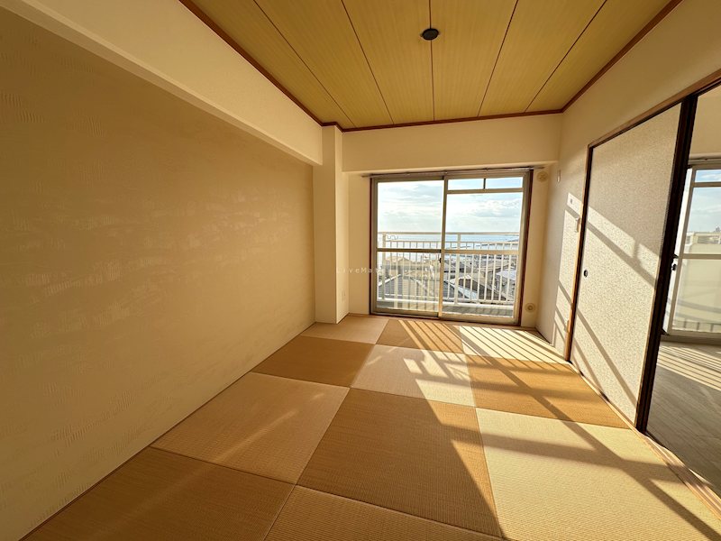 太陽ハイツ その他部屋・スペース
