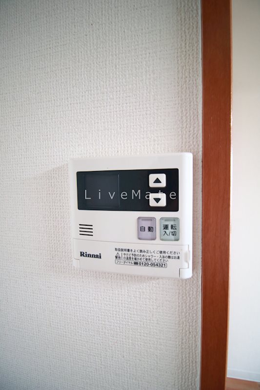 ヴェルドミールステラ その他