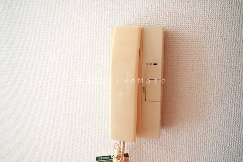 グランデージー その他