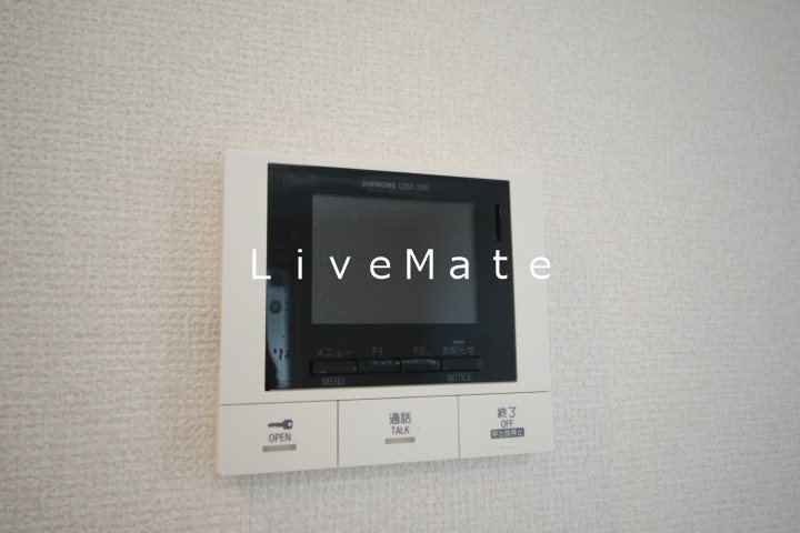 シャルマンヴィオラ その他
