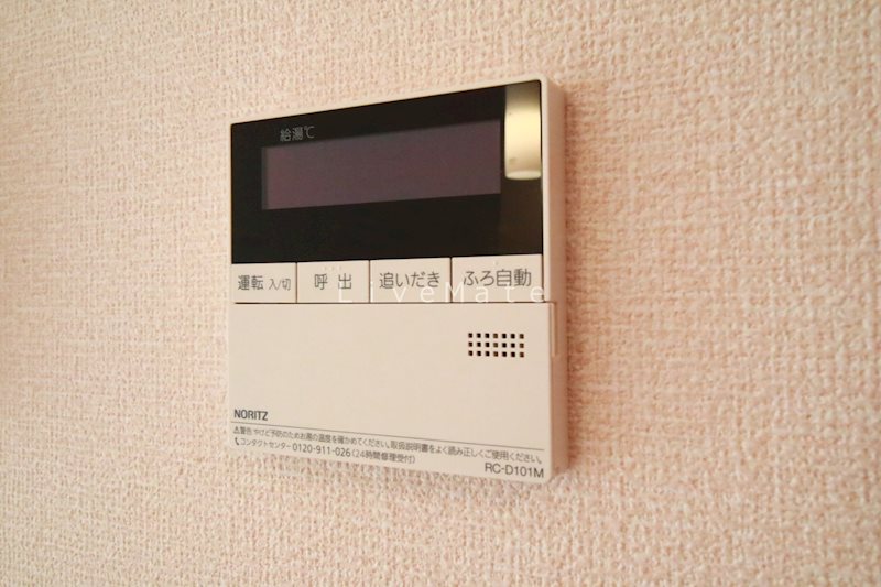 アネシス その他