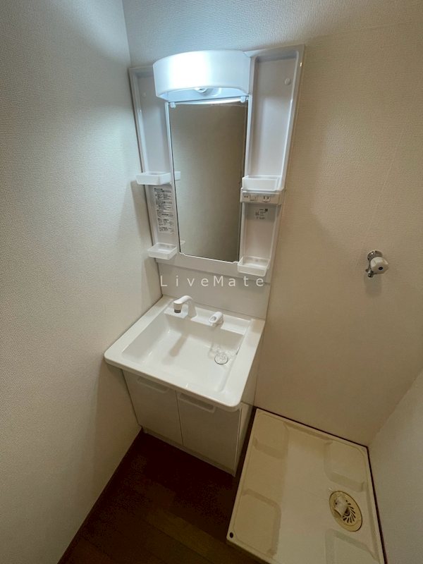 エクセルまつたに 洗面所