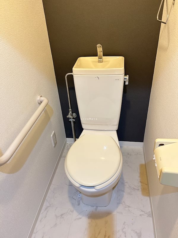 ヴァーチュアスあさぎり トイレ