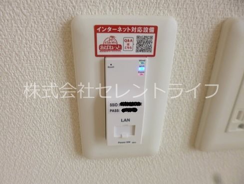 ドムス学園の森 その他42