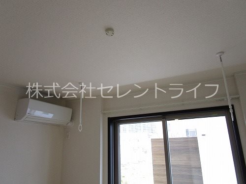 Lively K． その他6