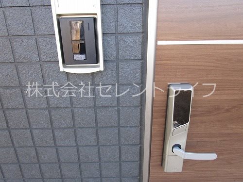 Lively K． その他10