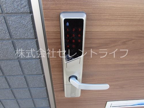 Lively K． その他11