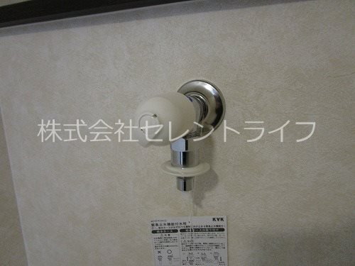Lively K． その他20