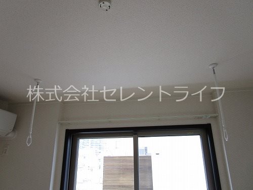 Lively K． その他33