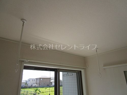 Regulus（レグルス） その他11