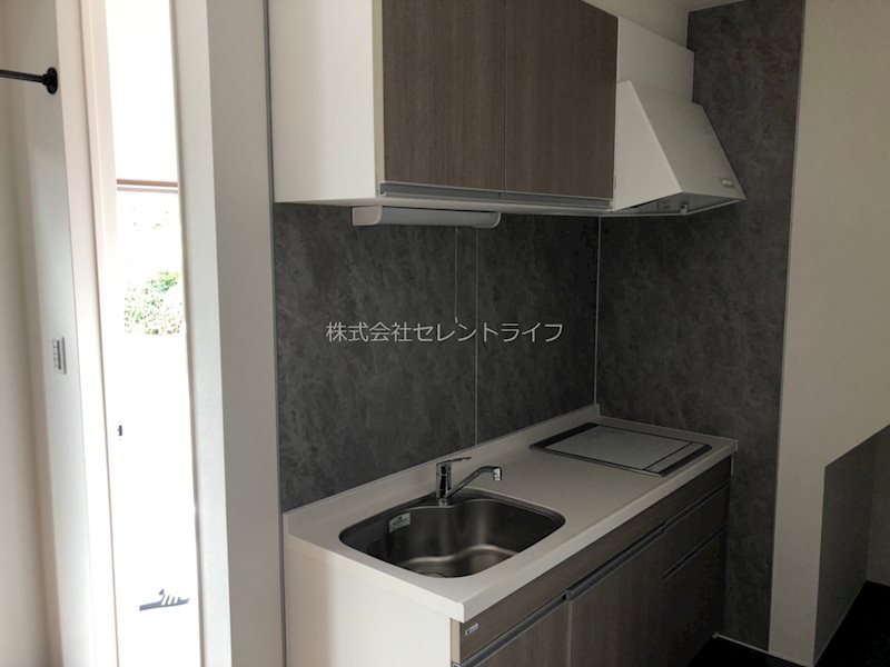 サザン・フォレスト その他11