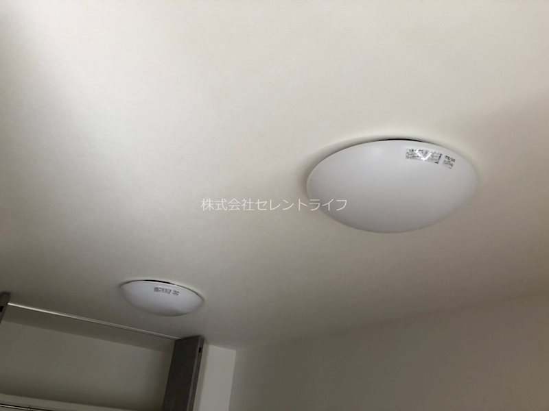 サザン・フォレスト その他23