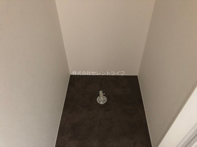 サザン・フォレスト その他28