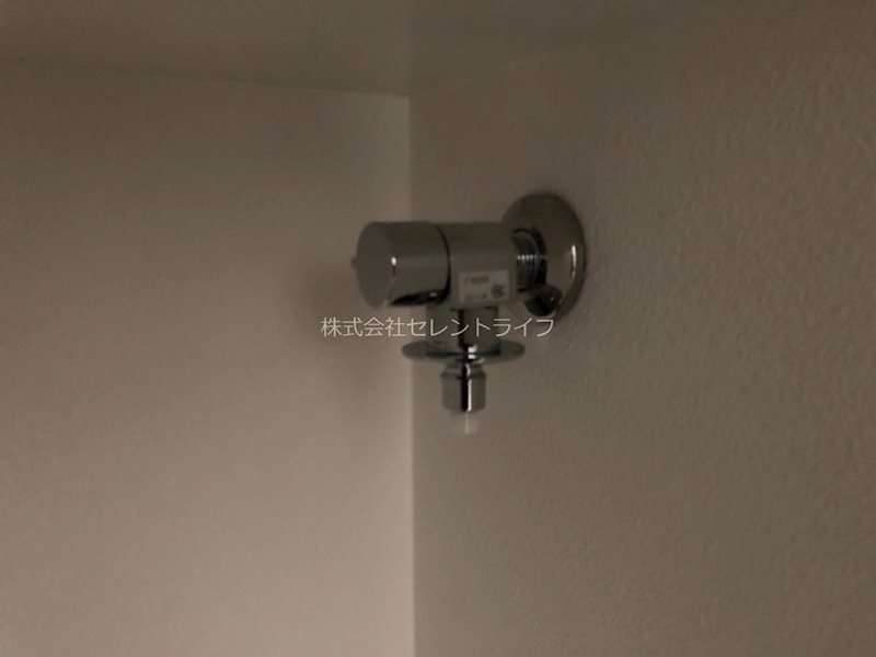 サザン・フォレスト その他29