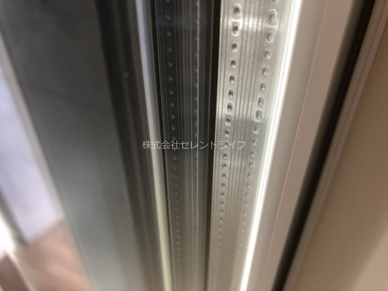 サザン・フォレスト その他33