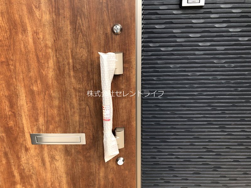 フォン・ブラウン その他8