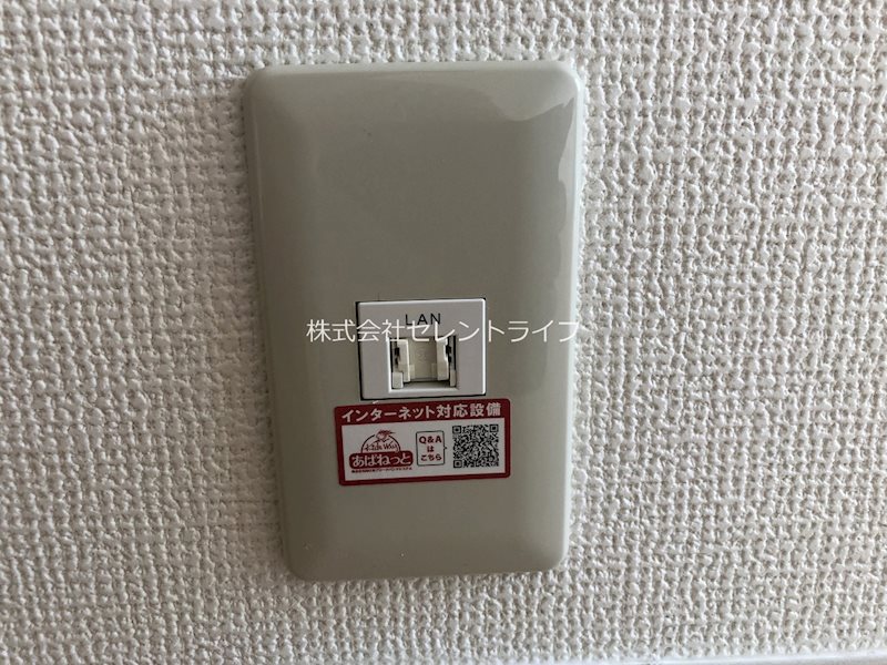 ベルテ　A・B その他30