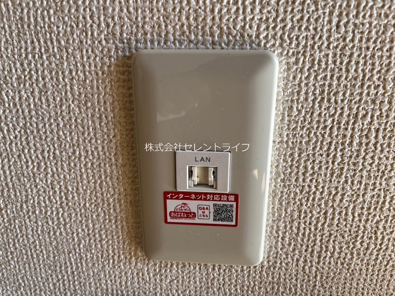 ベルテ　A・B その他13