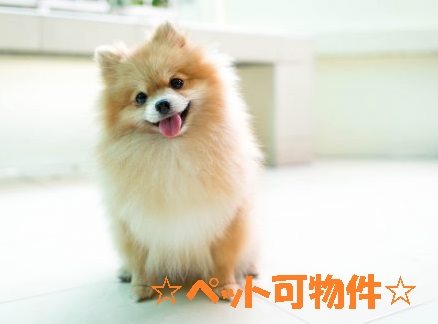 SHMモン・レーヴ その他