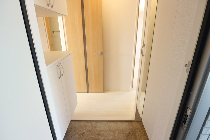 ロイジェントパークスレイクタウンⅡ　G 玄関