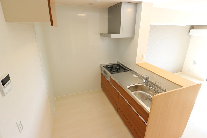 ロイジェントパークスレイクタウンⅡ　G その他9