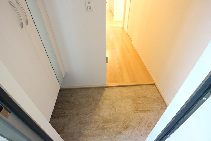 ロイジェントパークスレイクタウンⅡ　M 玄関