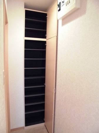 プラシード新越谷 玄関